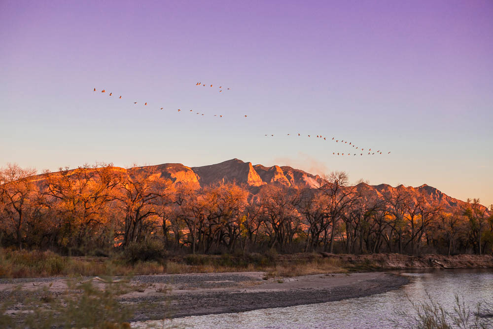 Sandia Mountains glowing at sunset above the Rio Grande bosque
